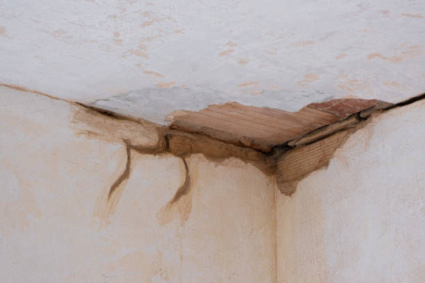 Best Mold removal after water damage  in Hull, IA
