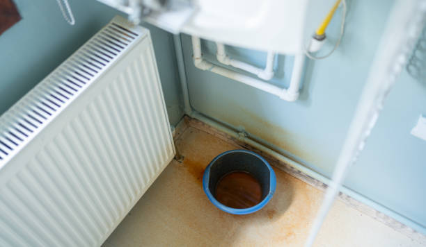 Best Flooded house restoration  in Hull, IA